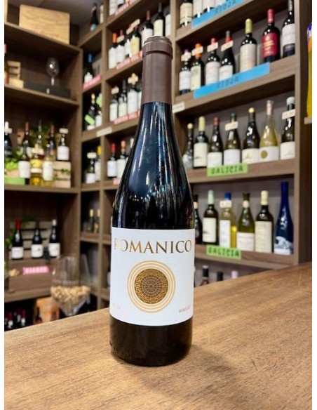 VINO ROMANICO D.O. TORO 2020 75 CL.